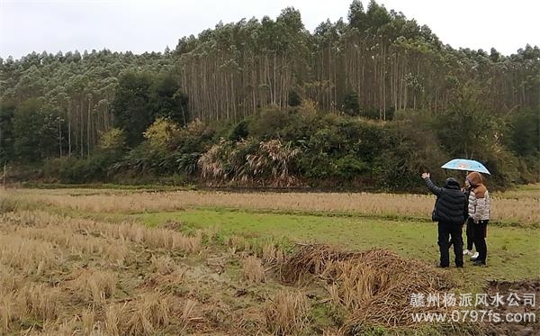 武隆区陈老师带着爱徒寻龙点穴